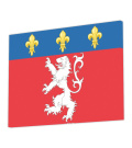 ARMOIRIES DE LYON - Canvas Print