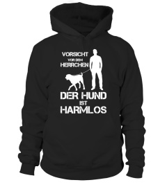 Der Hund Ist Harmlos