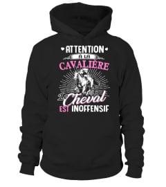 Attention À La Cavalière le Cheval