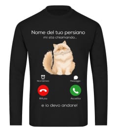 [NOME GATTO PERSIANO].. mi sta chiamando