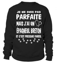 Parfaite: J'ai un Épagneul Breton