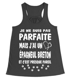 Parfaite: J'ai un Épagneul Breton