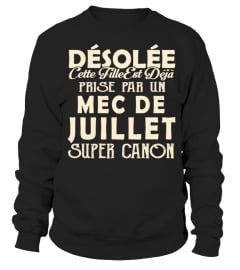 DESOLEE CETTE FILLE EST DEJA PRISE PAR UN MEC DE JUILLET SUPER CANON  T-shirt
