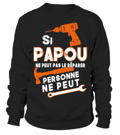 SI PAPOU NE PEUT PAS LE RÉPARER