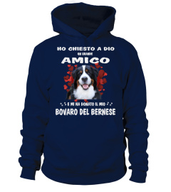 Amico Bovaro del Bernese