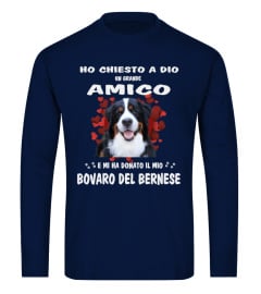 Amico Bovaro del Bernese