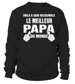 ** LE MEILLEUR PAPA DU MONDE **