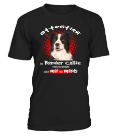 MON BORDER COLLIE