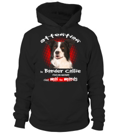 MON BORDER COLLIE