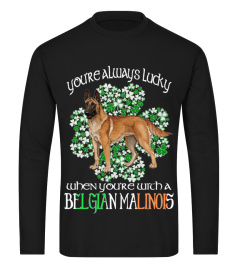 St Patrick Tag Glück Mit Ein Belgian Malinois Hund
