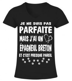 Parfaite: J'ai un Épagneul Breton