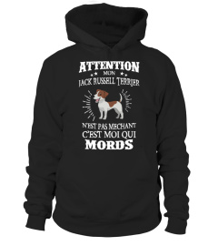 Jack Russell Terrier Attention