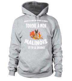 touche à mon: Malinois