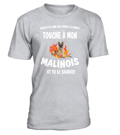 touche à mon: Malinois