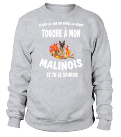 touche à mon: Malinois