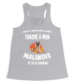 touche à mon: Malinois