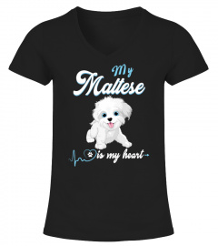 My Maltese is My Heart
