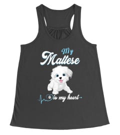 My Maltese is My Heart