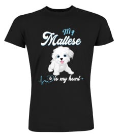 My Maltese is My Heart