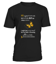 Ms Symptoms Felt Inside But Not Seen   Multiple Sclerosis Aw