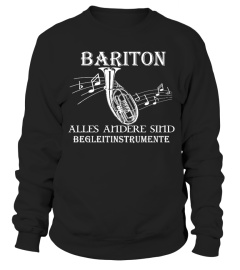 Musiker - Bariton alles andere sind Begleitinstrumente - T-Shirt Hoodie