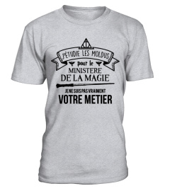 ⋆PERSONNALISEZ votre Métier ⋆ Potter ⋆