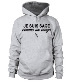 JE SUIS SAGE COMME UN ORAGE