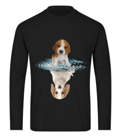 Beagle Dream Reflect Water