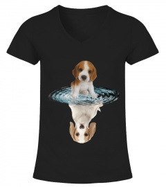 Beagle Dream Reflect Water