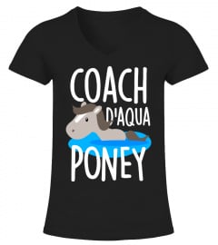 Coach d'aqua poney