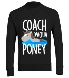 Coach d'aqua poney