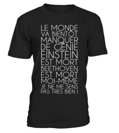  le monde va bientôt manquer de génie einstein est mort beethoven est mort moi-même je ne me sens pas très bien !