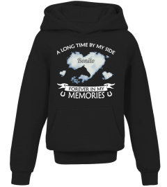 Horse memories 1x personalizable