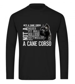 He is a Cane Corso