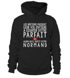 T-shirt Normand vie Parfait