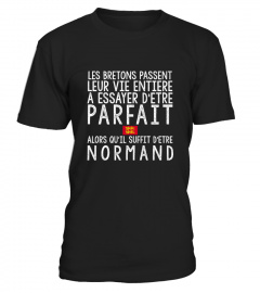 T-shirt Normand vie Parfait