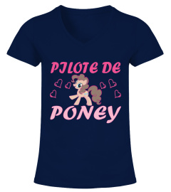PILOTE DE PONEY-CHEVAL