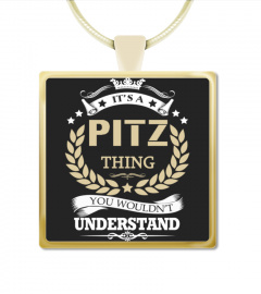PITZ - It's a PITZ Thing