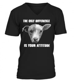 THE ONLY DIFFERENCE IS YOUR ATTITUDE