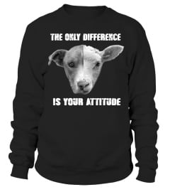 THE ONLY DIFFERENCE IS YOUR ATTITUDE