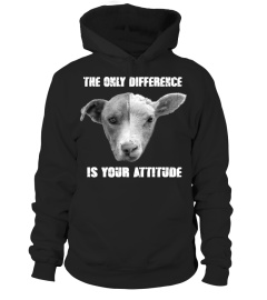 THE ONLY DIFFERENCE IS YOUR ATTITUDE