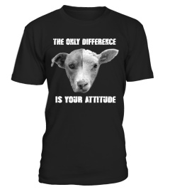 THE ONLY DIFFERENCE IS YOUR ATTITUDE