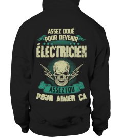 ELECTRICIEN (assez doué)