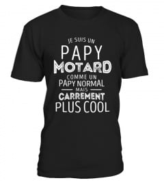 Papy Motard carrément plus cool