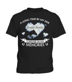 HORSE MEMORIES 2X PERSONALIZABLE