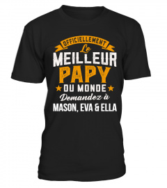 LE MEILLEUR PAPY  DU MONDE