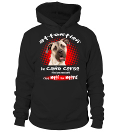 MON CANE CORSO FAUVE