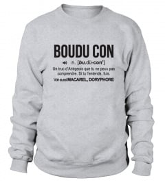 Definition Boudu Con Ariègeois