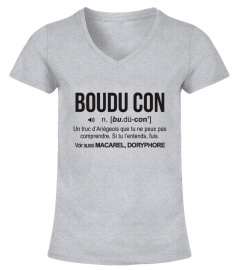 Definition Boudu Con Ariègeois
