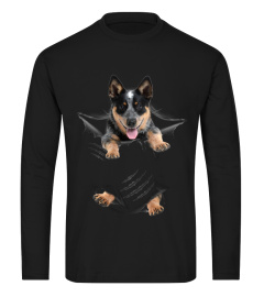 Australian Cattle Dog Scratch